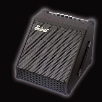 Комбо-усилитель для ударных BELCAT DR-30 101769