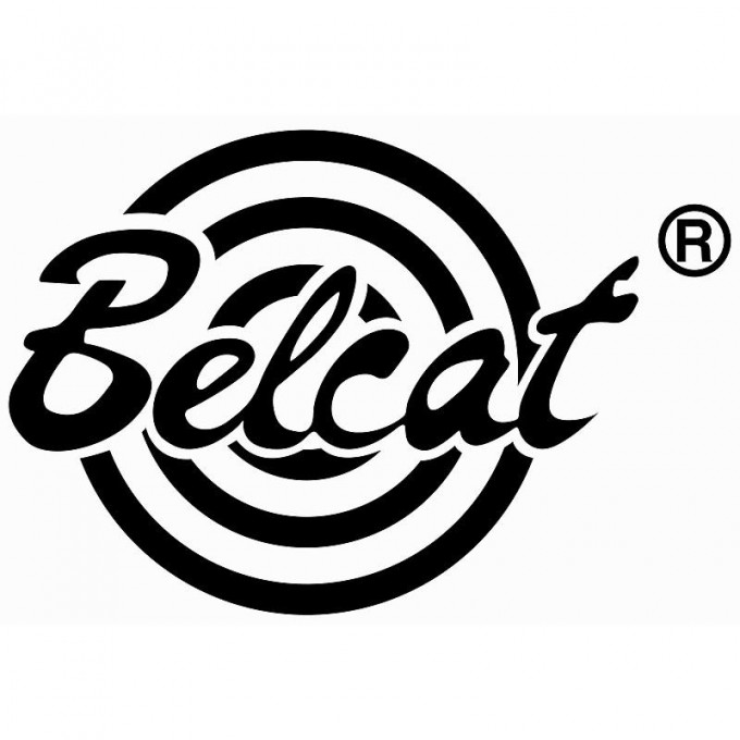 Комбо для акустической гитары BELCAT BEL-8060A 90515